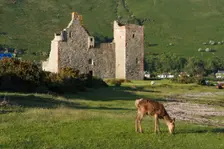 Lochranza Castle, Arran, North Ayrshire, Scotland. Creator: Peter Thompson