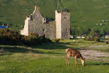 Lochranza Castle, Arran, North Ayrshire, Scotland. Creator: Peter Thompson