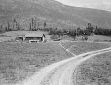 Log buildings and cleared land on FSA borrower's place, Boundary County, Idaho, 1939. Creator: Dorothea Lange