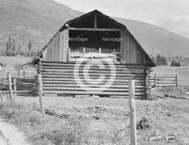Log barn, FSA borrower plans to develop dairy ranch, Boundary County, Idaho, 1939. Creator: Dorothea Lange.