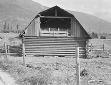 Log barn, FSA borrower plans to develop dairy ranch, Boundary County, Idaho, 1939. Creator: Dorothea Lange