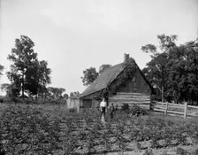 Log cabin, probably Rio Vista, Grosse Ile, Mich., between 1900 and 1910. Creator: William H. Jackson