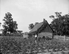 Log cabin, probably Rio Vista, Grosse Ile, Mich., between 1900 and 1910. Creator: William H. Jackson