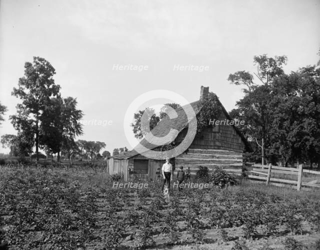 Log cabin, probably Rio Vista, Grosse Ile, Mich., between 1900 and 1910. Creator: William H. Jackson.