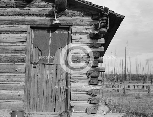 Log home, farm established 6 years ago, Priest River Peninsula, Bonner County, Idaho, 1939 Creator: Dorothea Lange.