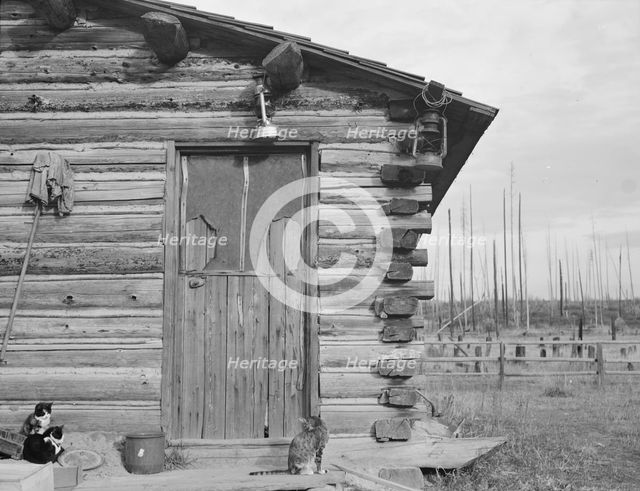 Log home - farm established six years ago, Priest River Peninsula, Bonner County, Idaho, 1939. Creator: Dorothea Lange.