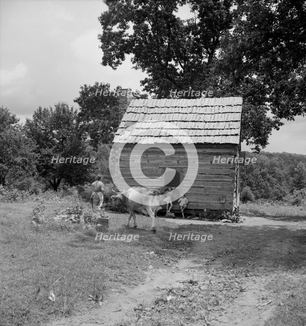 Log home of non-farm family, Orange County, North Carolina, 1939. Creator: Dorothea Lange.