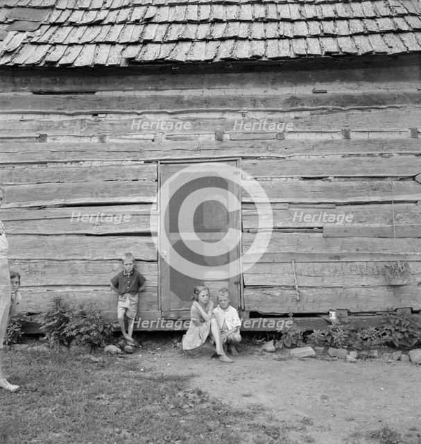 Log home of rural non-farm family, Orange County, North Carolina, 1939. Creator: Dorothea Lange.