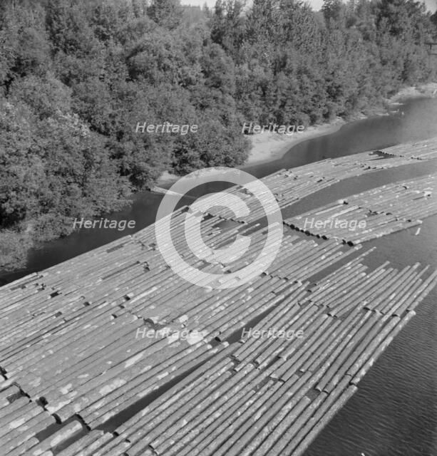 Log rafts on the Williamette River between Salem and Independence, Oregon, 1939. Creator: Dorothea Lange.