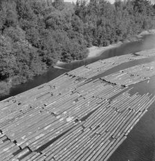 Log rafts on the Williamette River between Salem and Independence, Oregon, 1939. Creator: Dorothea Lange