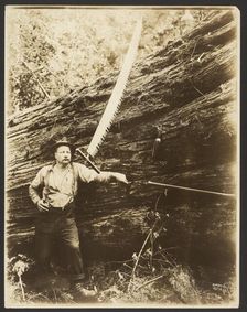Logger and felled tree, about 1910-1945. Creator: Darius Kinsey