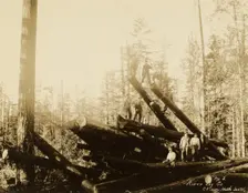 Loggers, about 1910-1930. Creator: Darius Kinsey
