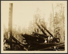 Loggers, about 1910-1930. Creator: Darius Kinsey