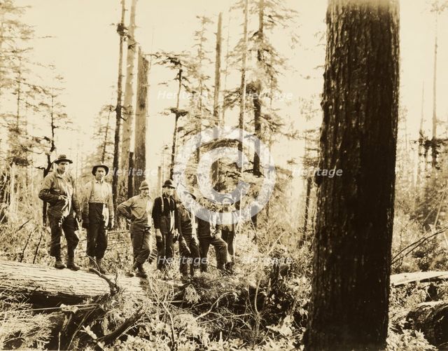 Loggers, about 1910-1930. Creator: Darius Kinsey.