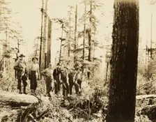 Loggers, about 1910-1930. Creator: Darius Kinsey