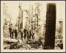 Loggers, about 1910-1930. Creator: Darius Kinsey