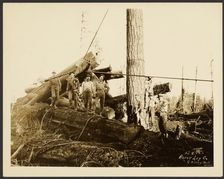 Loggers, about 1910-1945. Creator: Darius Kinsey