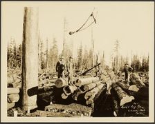 Logging/ Timber Scene, about 1910-1945. Creator: Darius Kinsey