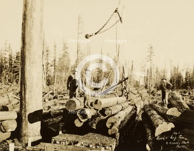 Logging/ Timber Scene, about 1910-1945. Creator: Darius Kinsey.