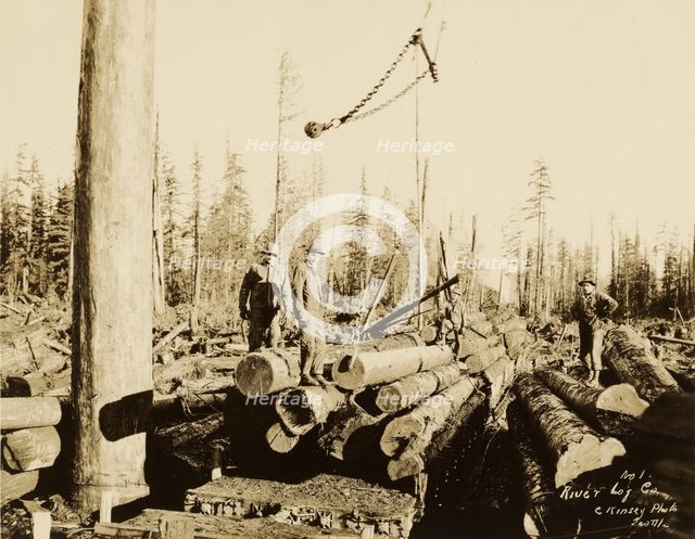 Logging/ Timber Scene, about 1910-1945. Creator: Darius Kinsey.
