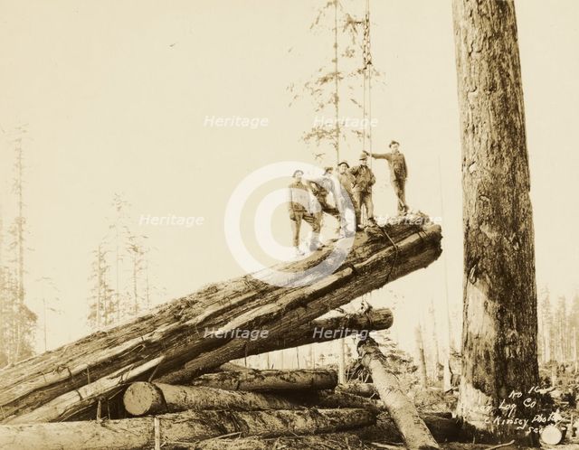 Logging/ Timber Scene, about 1910-1945. Creator: Darius Kinsey.