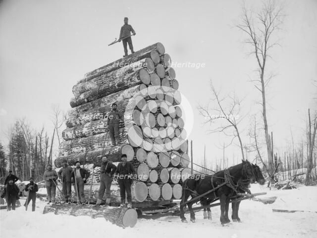 Logging a big load, between 1880 and 1899. Creator: Unknown.