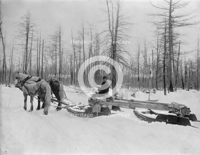 Logging in Michigan, the sled, between 1880 and 1899. Creator: Unknown.