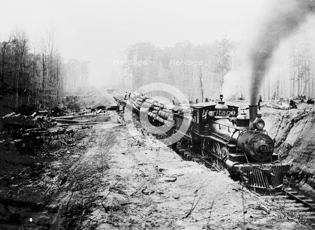 Logging railroad, Keystone Lumber Company, 1901 or 1902. Creator: Unknown.