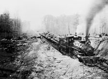Logging railroad, Keystone Lumber Company, 1901 or 1902. Creator: Unknown