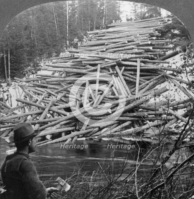 'Logs from the Forest Delivered at the Stream, Aroostook County, Me.', c1930s. Creator: Unknown.