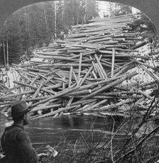 Logs from the Forest Delivered at the Stream, Aroostook County, Me. c1930s. Creator: Unknown