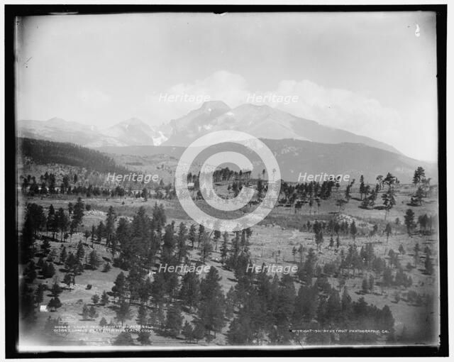 Long's Peak from Mont Alto, Colo., c1901. Creator: William H. Jackson.
