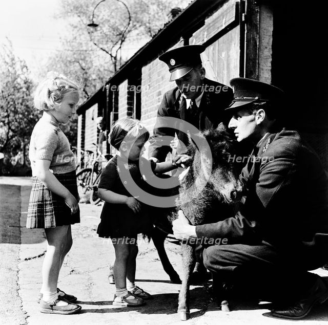 London Zoo, (1950s?). Creator: Henry Grant.