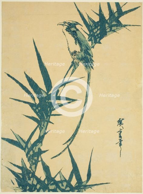Long-tailed bird and bamboo, n.d. Creator: Ando Hiroshige.