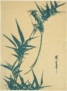 Long-tailed bird and bamboo, n.d. Creator: Ando Hiroshige