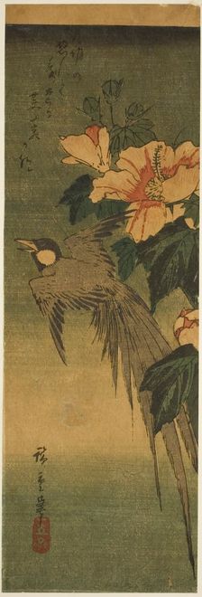 Long-tailed bird and hibiscus, 1830s-1840s. Creator: Ando Hiroshige
