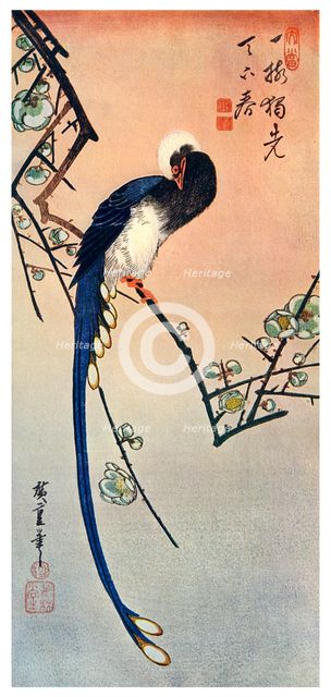 'Long Tailed Blue Bird on Branch of Plum Tree in Blossom', 19th century (1925). Artist: Unknown