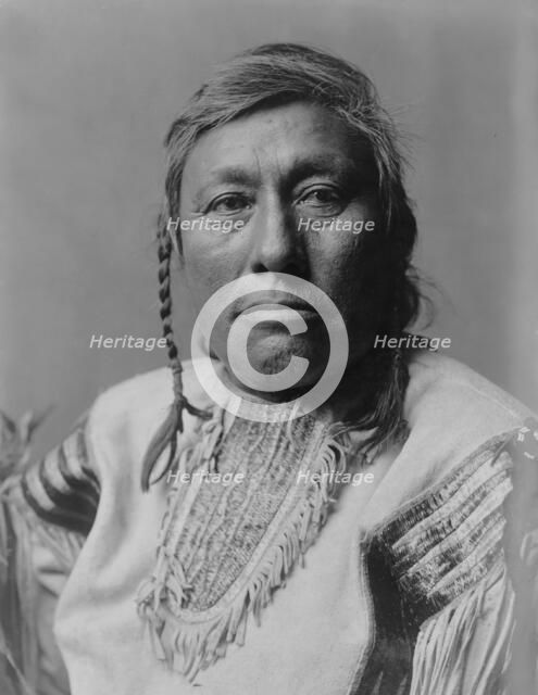Long Time Dog, c1908. Creator: Edward Sheriff Curtis.