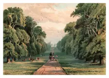 Long Walk, Windsor Park 1880