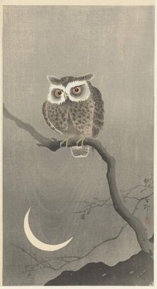 Long-eared owl on bare tree branch. Creator: Ohara, Koson (1877-1945)