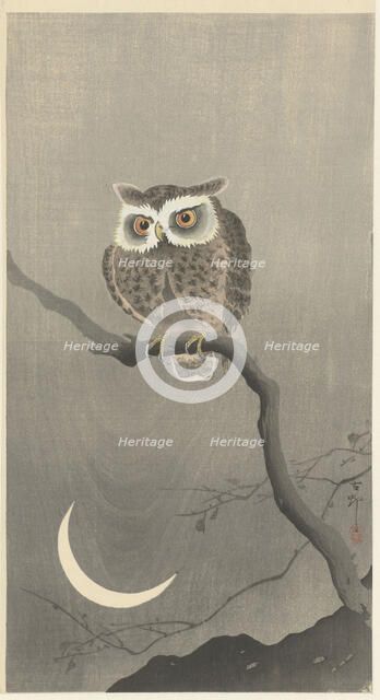 Long-eared owl on bare tree branch. Creator: Ohara, Koson (1877-1945).