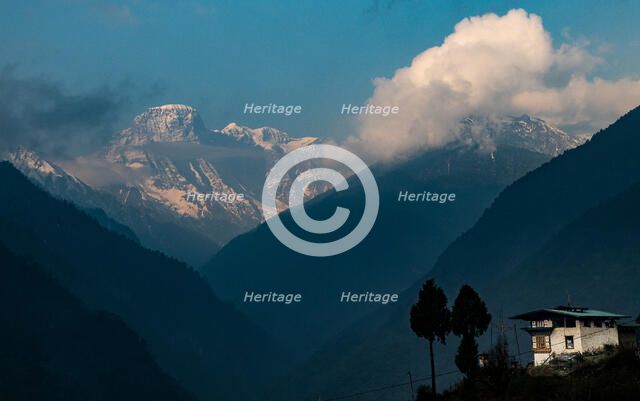 Long Life Peak. Creator: Dorte Verner.