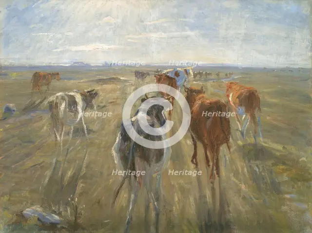 Long Shadows. Cattle on the Island of Saltholm, 1888-1892. Creator: Theodor Esbern Philipsen.