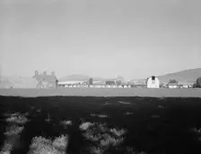 Looking across alfalfa field, late afternoon, Moxee Valley district, Yakima Valley, Washington, 1939 Creator: Dorothea Lange