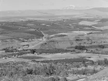 Looking down on part of the Valley, approximately six miles from Yakima, Washington, 1939. Creator: Dorothea Lange