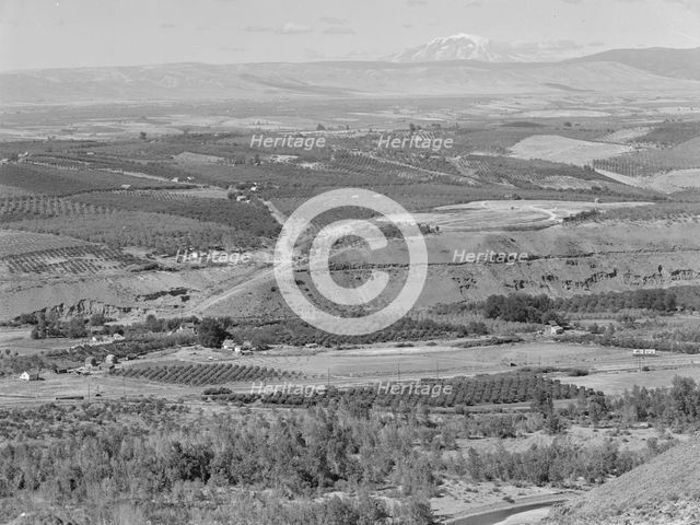 Looking down on part of the Valley, approximately six miles from Yakima, Washington, 1939. Creator: Dorothea Lange.