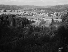 Looking down on western Washington...,Tenino, Thurston County, Western Washington, 1939. Creator: Dorothea Lange