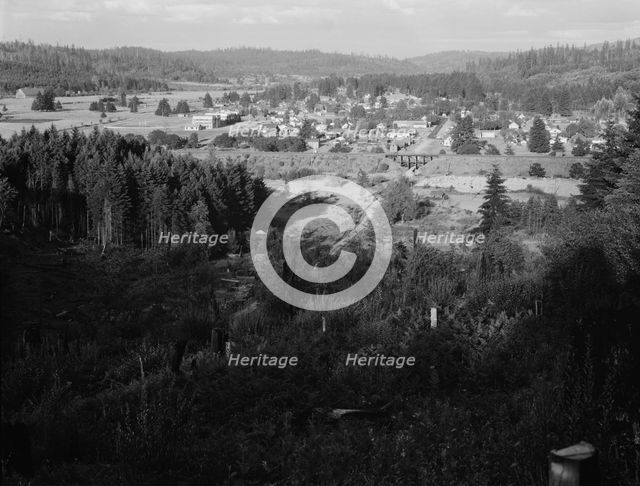 Looking down on western Washington...,Tenino, Thurston County, Western Washington, 1939. Creator: Dorothea Lange.