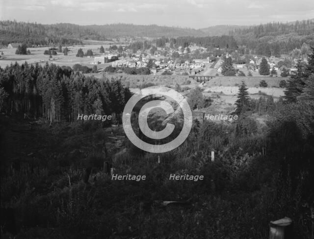 Looking down on western Washington...,Tenino, Thurston County, Western Washington, 1939. Creator: Dorothea Lange.