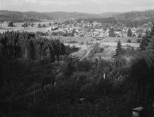 Looking down on western Washington...,Tenino, Thurston County, Western Washington, 1939. Creator: Dorothea Lange